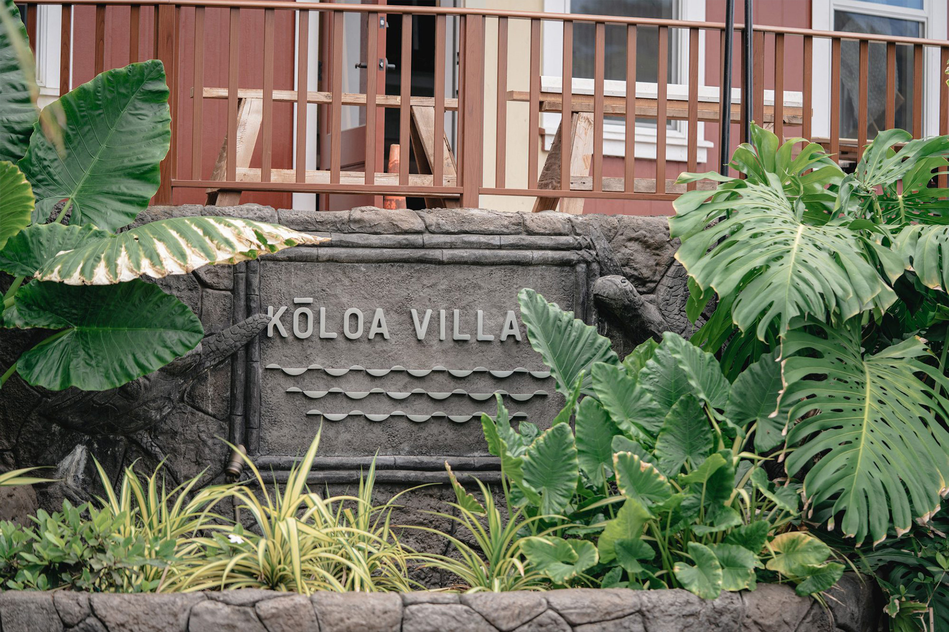 Hawai koloa