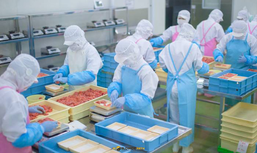 công nhân chế biến thực phẩm ( hãng gà - hãng cá - hãng thịt )